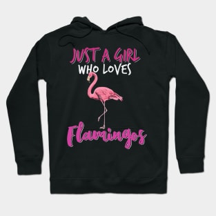 Just a girl who loves flamingos Hoodie